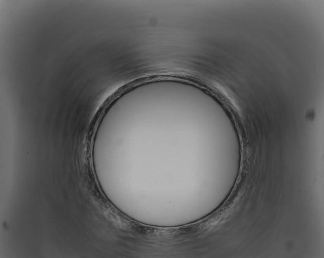 X0000090430875200707131006
