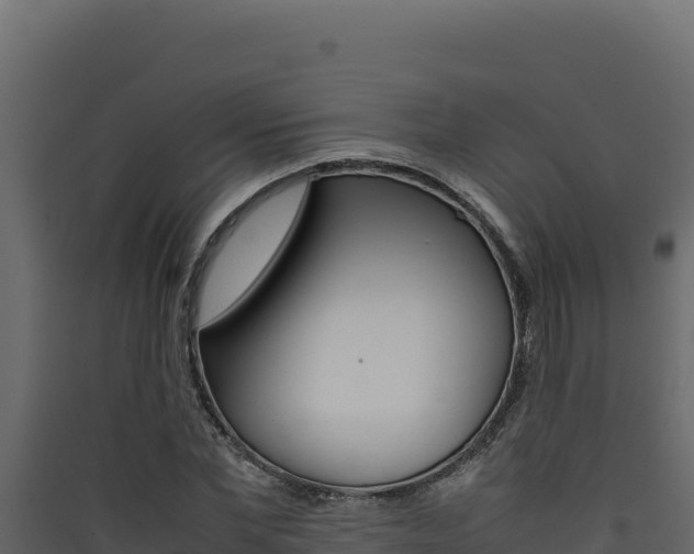 X0000090430877200707131006