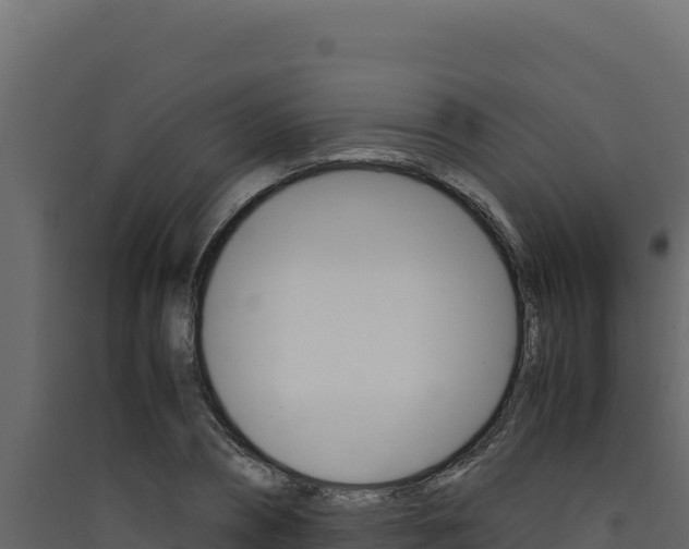 X0000090430882200707131006