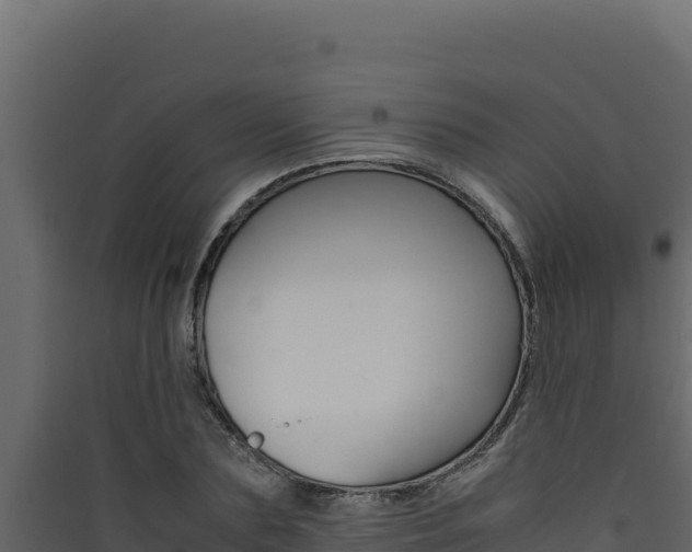 X0000090430883200707131006