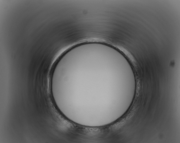 X0000090430886200707131006