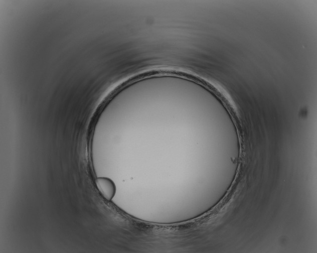 X0000090430887200707131006