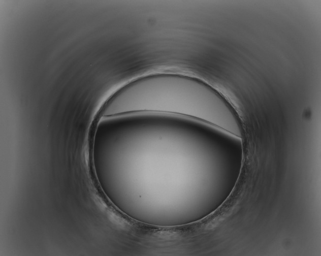 X0000090430888200707131006