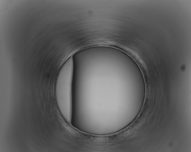 X0000090430889200707131006