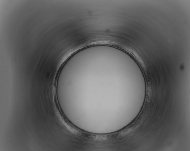 X0000090430890200707131006
