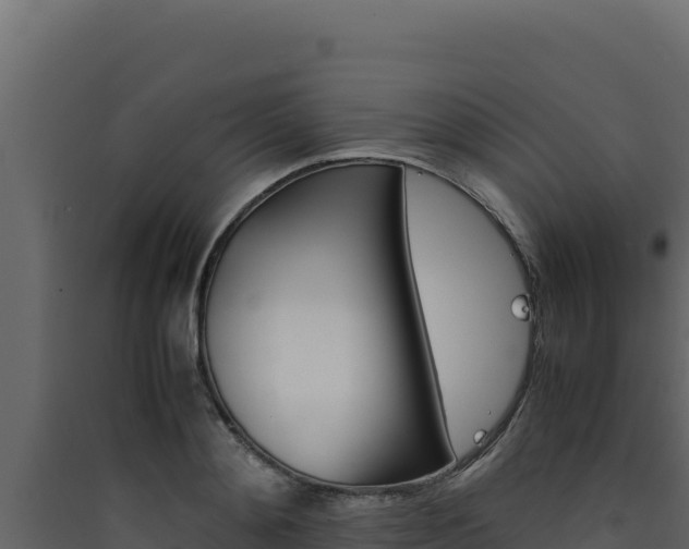 X0000090430892200707131006