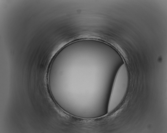 X0000090430893200707131006