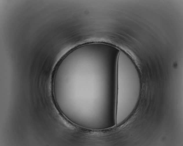 X0000090430894200707131006