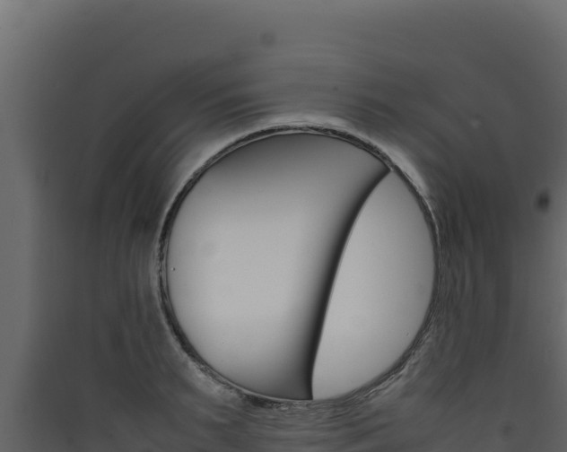 X0000090430895200707131006