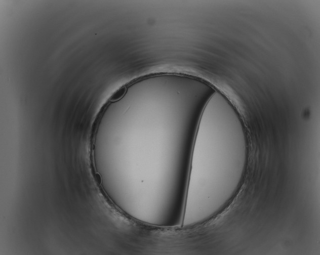 X0000090430896200707131006