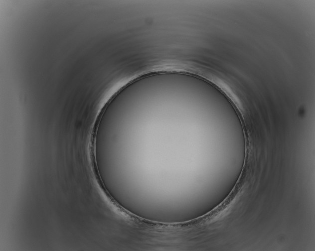 X0000090430901200707131006