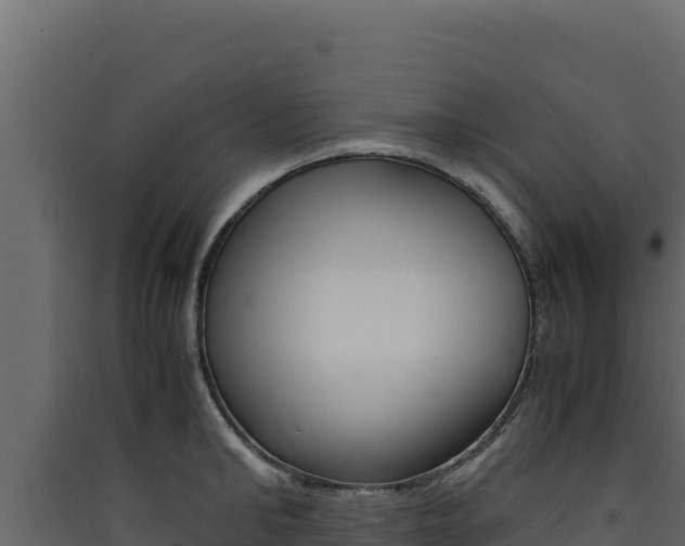 X0000090430902200707131006