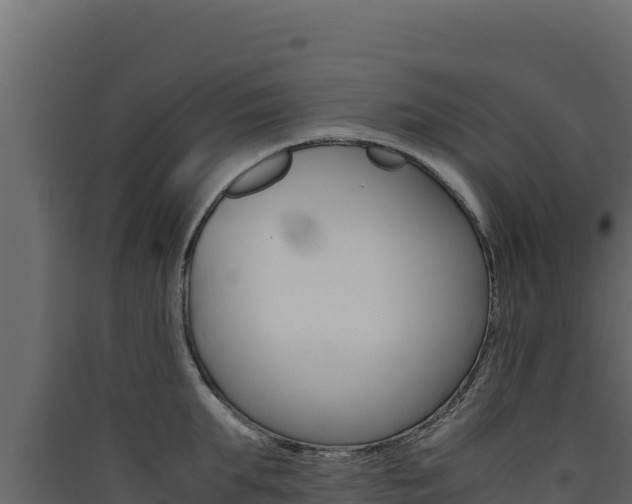 X0000090430903200707131006