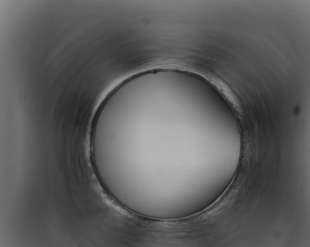 X0000090430904200707131006