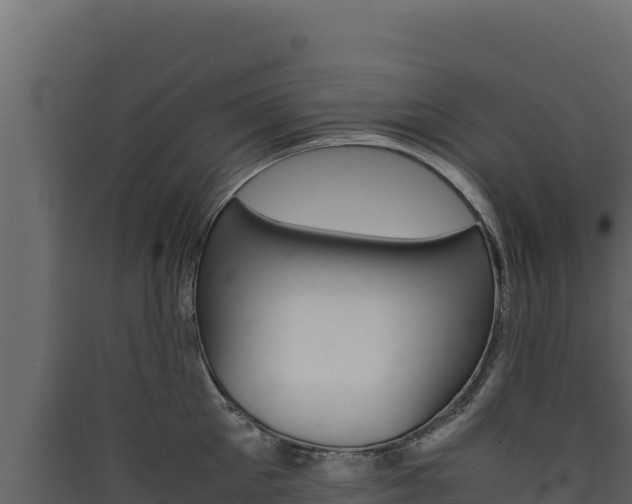 X0000090430905200707131006