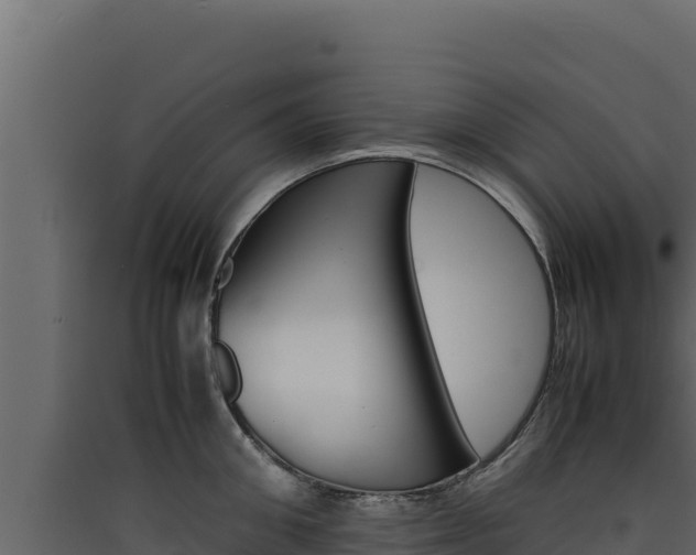X0000090430906200707131006