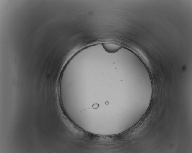 X0000090430907200707131006