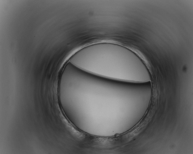 X0000090430910200707131006