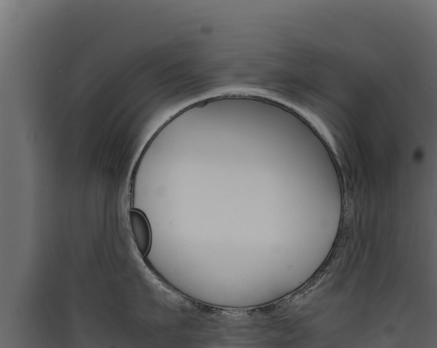 X0000090430911200707131006