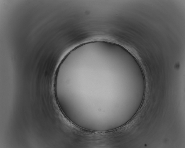 X0000090430912200707131006