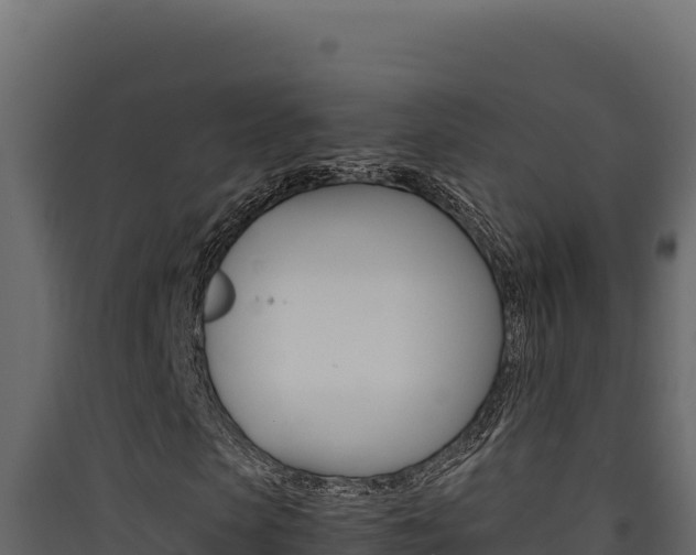 X0000090430913200707131005