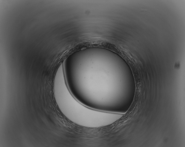 X0000090430916200707131005