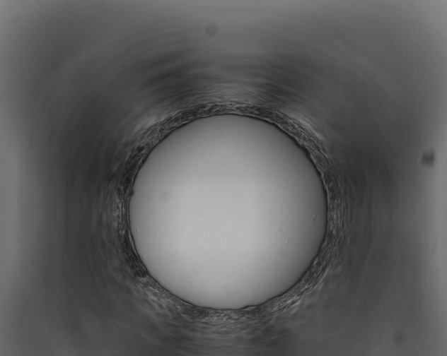 X0000090430917200707131005