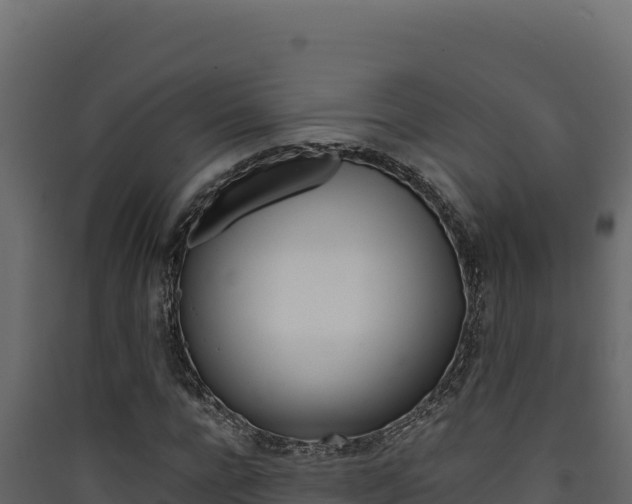 X0000090430920200707131005