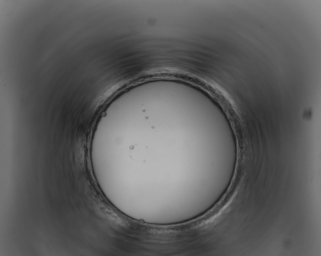 X0000090430921200707131005