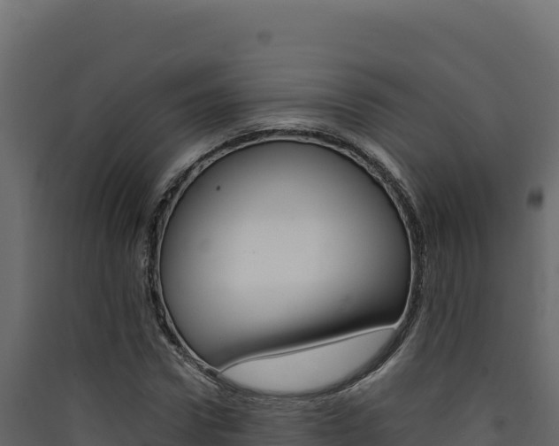 X0000090430922200707131005