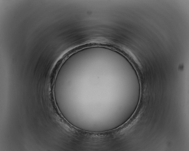 X0000090430923200707131005
