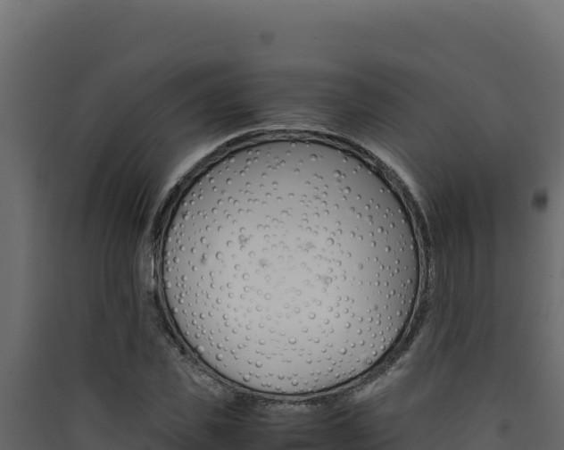 X0000090430925200707131005