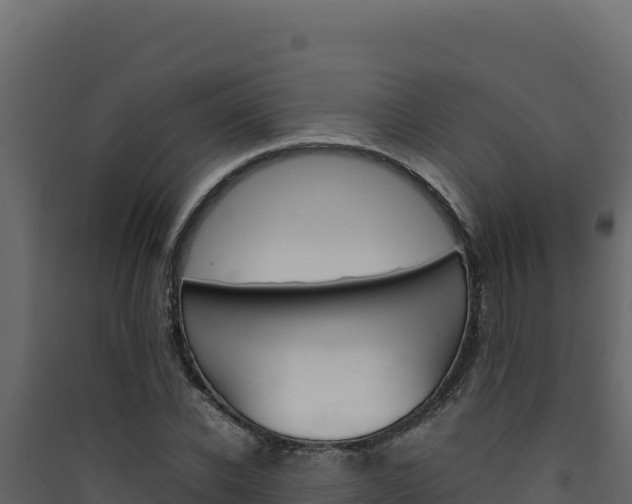 X0000090430926200707131005