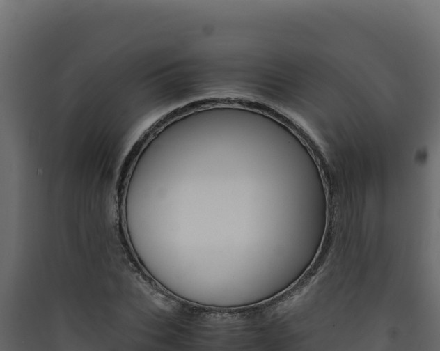 X0000090430927200707131005