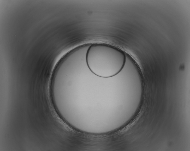 X0000090430928200707131005