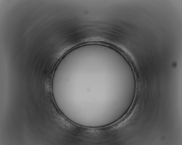 X0000090430929200707131005