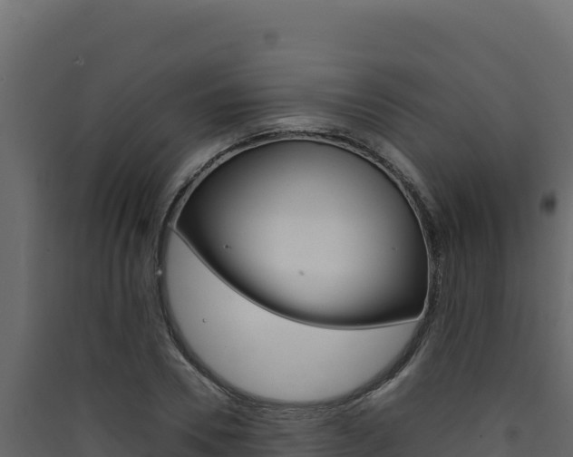 X0000090430930200707131005