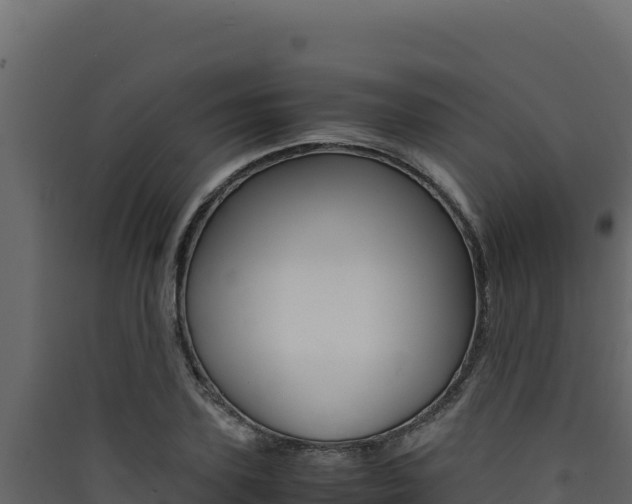 X0000090430931200707131005