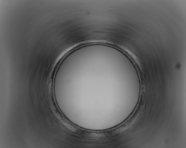 X0000090430933200707131005