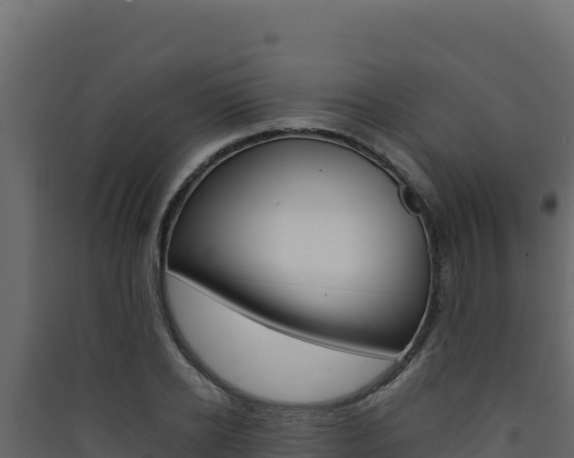 X0000090430934200707131005