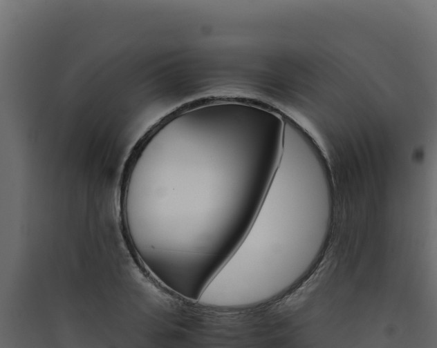 X0000090430935200707131005