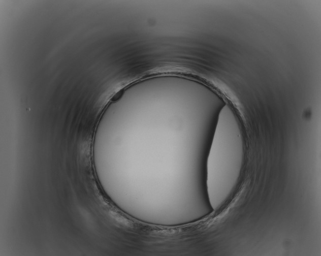 X0000090430937200707131005