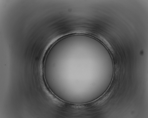 X0000090430939200707131005