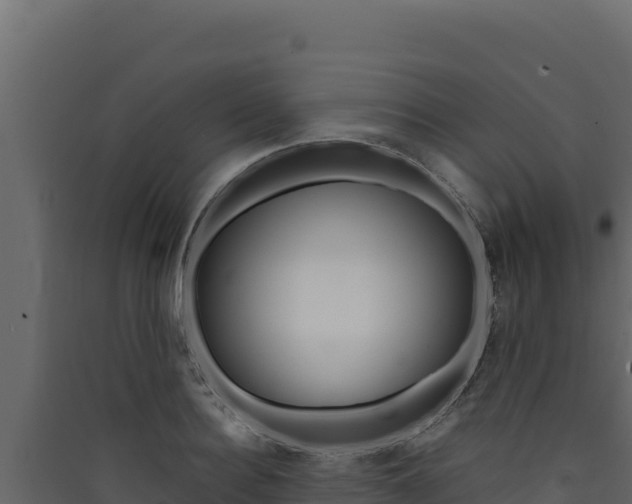 X0000090430940200707131005