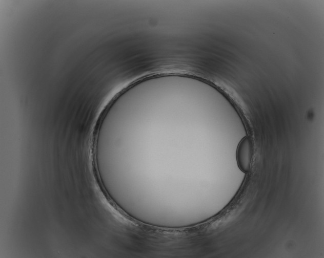 X0000090430941200707131005