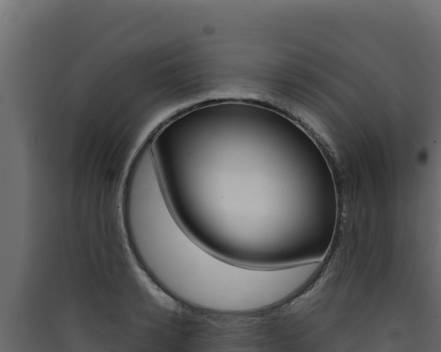 X0000090430942200707131005