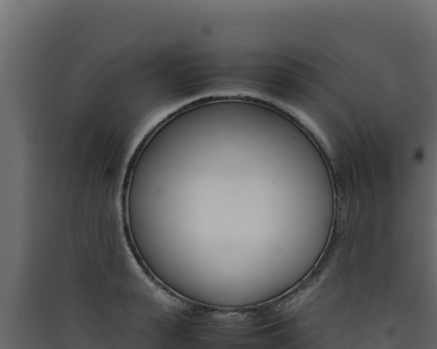 X0000090430943200707131005