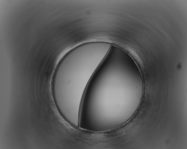 X0000090430944200707131005