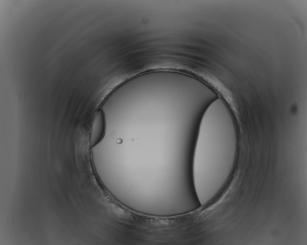 X0000090430945200707131005