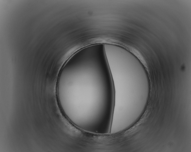 X0000090430946200707131005